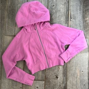 NWT Scuba Full-Zip Cropped Hoodie